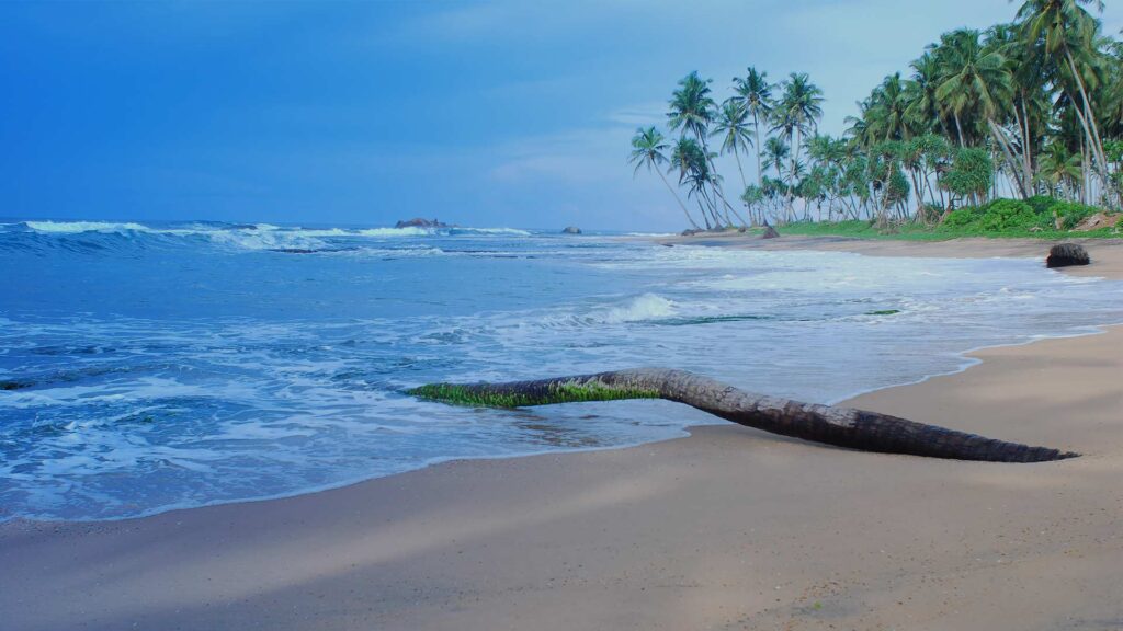 Tour-itineraries diant tours